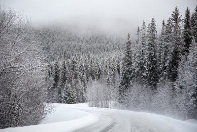 Снегопад и метель ожидаются в четырех регионах Урала в ближайшие дни