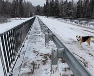 Мост через Касть в Даниловском районе Ярославской области ввели в эксплуатацию