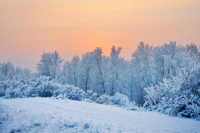 Сильные морозы надвигаются на Свердловскую область