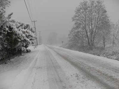Метель и снежные заносы на дорогах ожидаются в Башкирии в ближайшие сутки