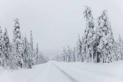Зимник Лабытнанги - Азовы - Теги на Ямале открыт для транспорта