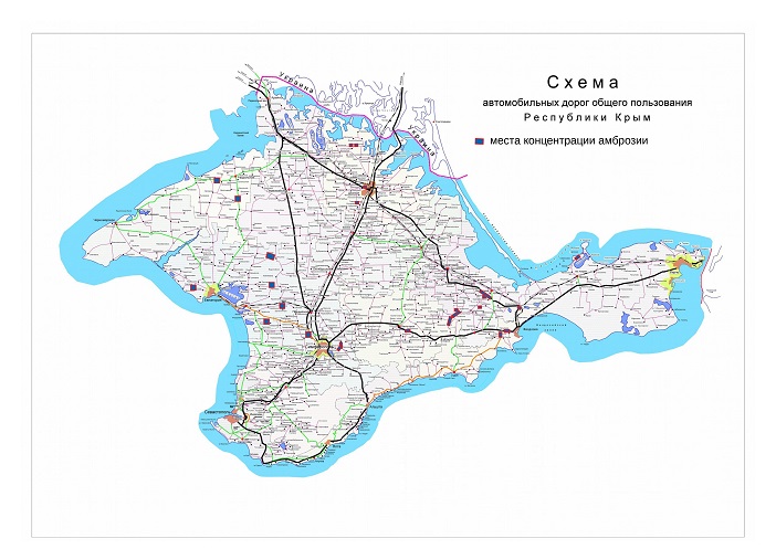 Дорожники провели химическую и санитарную очистку обочин трасс в Крыму от амброзии