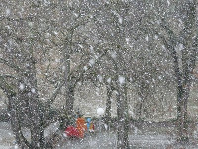 Непогода на Сахалине: перекрыты четыре дороги, не работает паромная переправа
